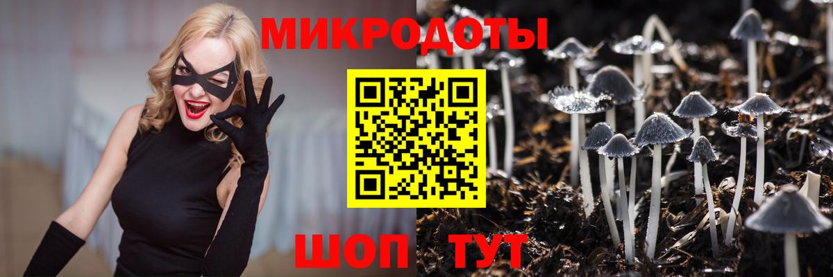 Галлюциногенные грибы Magic Shrooms  Вход с VPN  Новосибирск 